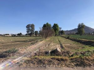 Terreno en Venta en San Buenaventura Tecaltzingo San Martín Texmelucan