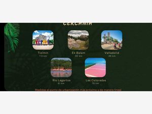 Terreno en Venta en Calotmul Calotmul