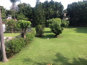Terreno en Venta en Jardines de Delicias Cuernavaca