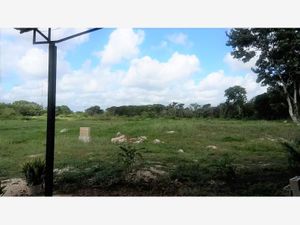 Terreno en Venta en San Juan Izamal Izamal