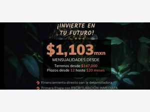 Terreno en Venta en Calotmul Calotmul