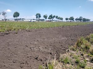 Terreno en Venta en Llano Grande (El Salitre) Metepec