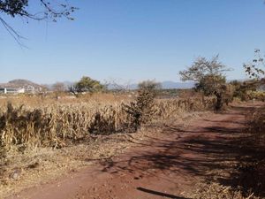 Terreno en Venta en Real del Puente Xochitepec