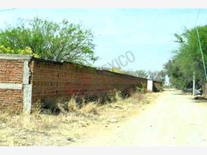 Terreno en Venta en San Jose del Clavel León