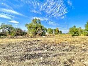 Terreno en Venta en Tampico Lagos de Moreno