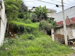 Terreno en Venta en Los Cedros Xalapa