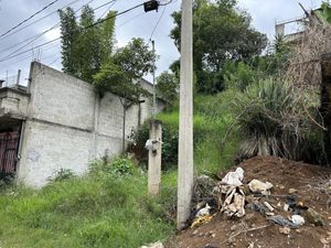 Terreno en Venta en Los Cedros Xalapa