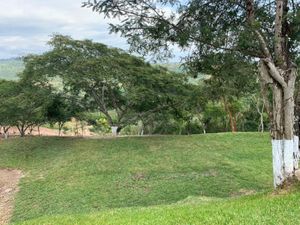 Terreno en Venta en Tres Pasos Emiliano Zapata