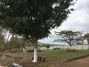 Terreno en Venta en Tres Pasos Emiliano Zapata