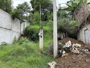 Terreno en Venta en Los Cedros Xalapa