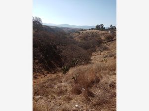 Terreno en Venta en San José Piedra Gorda Tepeji del Río de Ocampo