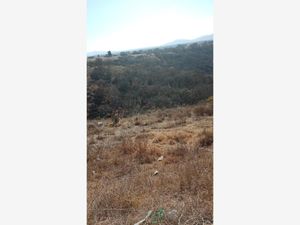 Terreno en Venta en San José Piedra Gorda Tepeji del Río de Ocampo