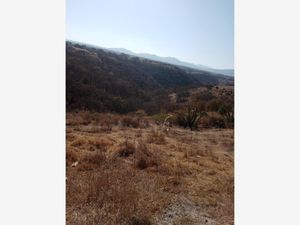 Terreno en Venta en San José Piedra Gorda Tepeji del Río de Ocampo