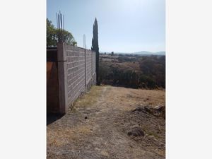 Terreno en Venta en San José Piedra Gorda Tepeji del Río de Ocampo