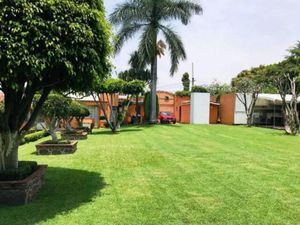 Terreno en Venta en Extensión Delicias Cuernavaca