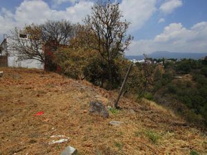 Terreno en Venta en Lomas de Tetela Cuernavaca