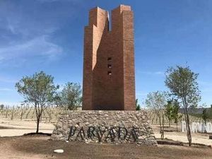 TERRENO EN VENTA EN PARRAS. PARVADA