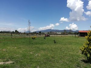 Terreno en Venta en Atlamaxac Chignahuapan