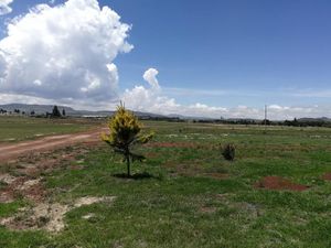 Terreno en Venta en Atlamaxac Chignahuapan