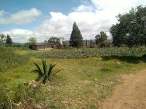 Terreno en Venta en Tenextla Chignahuapan