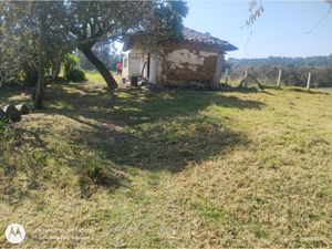 Terreno en Venta en San Pedro Atmatla Zacatlán