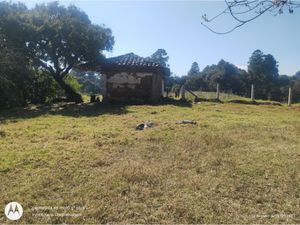 Terreno en Venta en San Pedro Atmatla Zacatlán