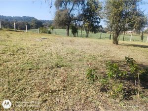 Terreno en Venta en San Pedro Atmatla Zacatlán