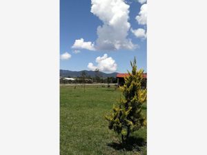 Terreno en Venta en Atlamaxac Chignahuapan