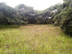 Terreno en Venta en San Miguel Lastiri Chignahuapan