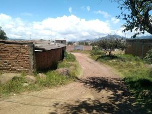 Terreno en Venta en Teotlalpan Chignahuapan