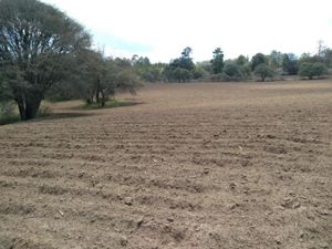 Terreno en Venta en Michac Chignahuapan