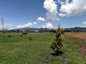 Terreno en Venta en Atlamaxac Chignahuapan