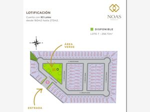 Terreno en Venta en Los Viñedos Torreón