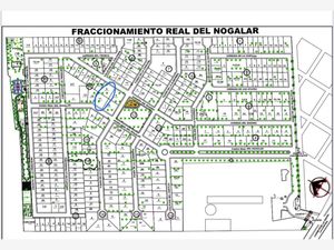 Terreno en Venta en Real del Nogalar Torreón