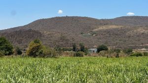 VENTA DE TERRENO EN LOS RANCHITOS JALISCO