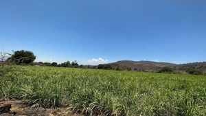 VENTA DE TERRENO EN LOS RANCHITOS JALISCO