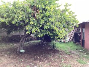 Terreno en Venta en Santiago Momoxpan San Pedro Cholula