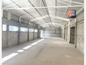 Bodega en Renta en Ampliación San Pascual Morelia