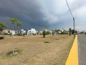 Terreno en Venta en Plaza las Torres Pachuca de Soto