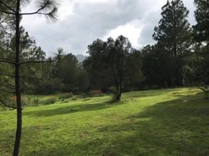 Terreno en Venta en Bermúdez Huasca de Ocampo