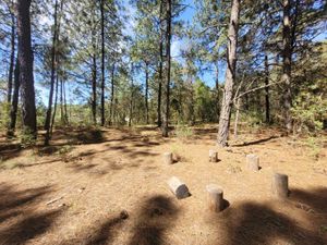 Terreno en Venta en Bermúdez Huasca de Ocampo