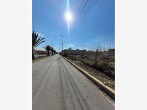 Terreno en Venta en Jagüey de Tellez (estacion Tellez) Zempoala