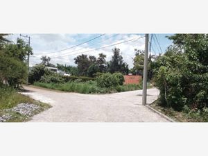 Terreno en Venta en Lomas de Jiutepec Jiutepec