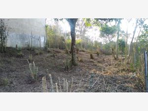 Terreno en Venta en Cañada de Las Ánimas Xalapa