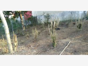 Terreno en Venta en Cañada de Las Ánimas Xalapa