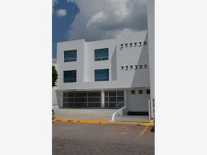 Edificio en Renta en Pueblo Nuevo Corregidora