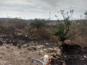 Terreno en Venta en Ciudad Maderas El Marqués