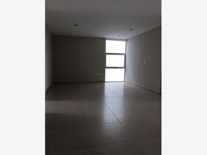 Casa en Renta en La Condesa Querétaro