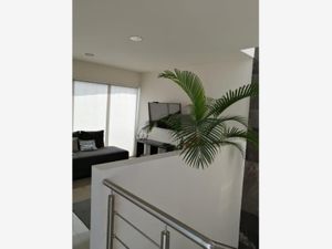 Casa en Venta en Residencial el Refugio Querétaro