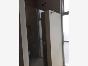 Casa en Renta en La Condesa Querétaro